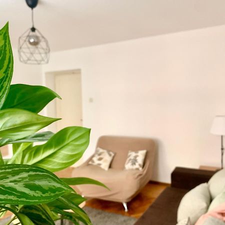 Star Apartment 2 Belgrad Exterior foto
